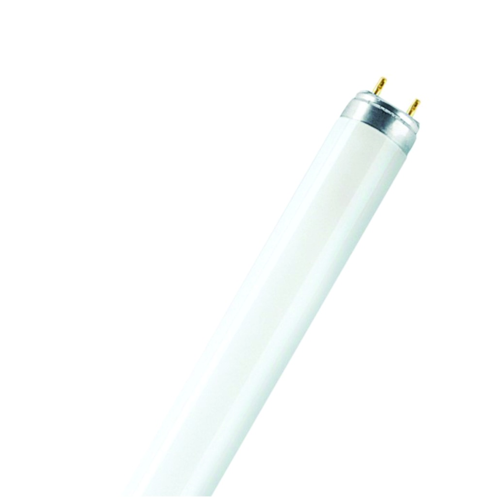 OSRAM Tubo fluorescente T8 ECO 48", 32W, 6500k, luz blanca