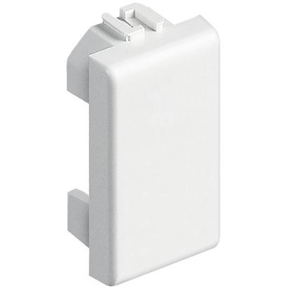 [AUT.01.393] [AM5000] BTICINO Falso polo blanco