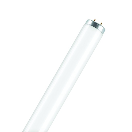 [ILU.06.851] Tubo fluorescente T12, 20W
