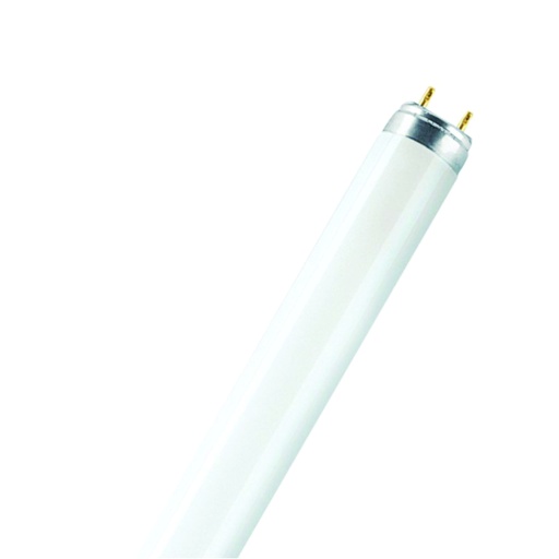 [ILU.06.465] OSRAM Tubo fluorescente T8, 59W, 6500K, luz blanca