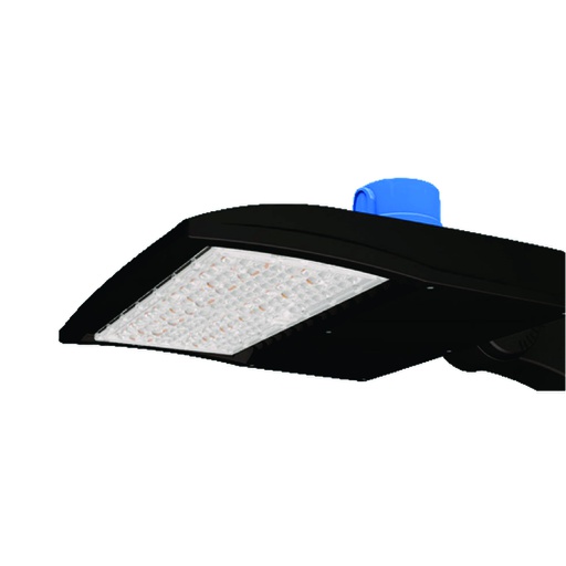 D-Lumina Bombilla H1 LED 2023 Future Series,120W 30000LM,kit LED de Alto  Lúmenes,Blanco Frío 6500K,IP68 Impermeable y Sistema de Refrigeración  Avanzado,2 Paquete : : Iluminación
